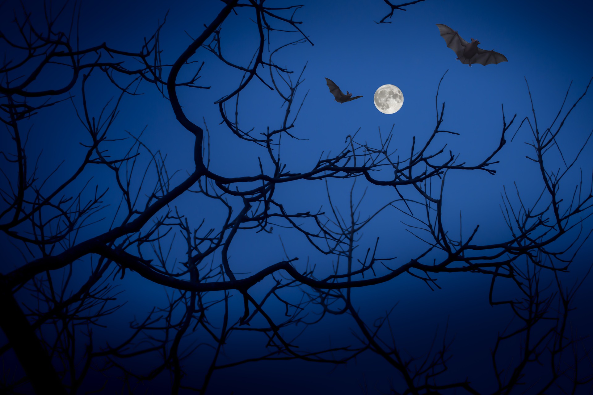 Vollmond-Wanderung im August