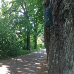 Poesie am Wegesrand- Wege zur Poesie
