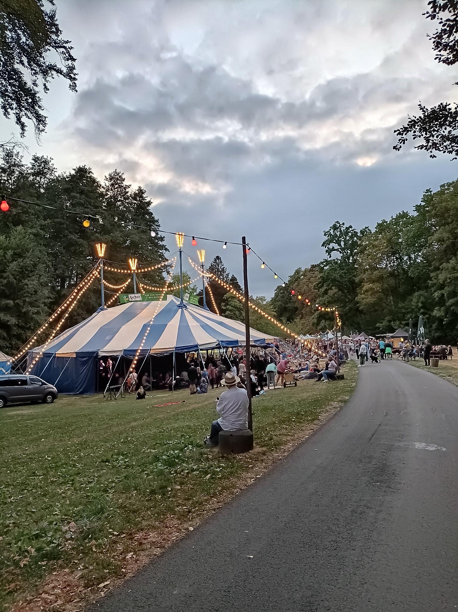 30. Blues, Schmus & Apfelmus Festival