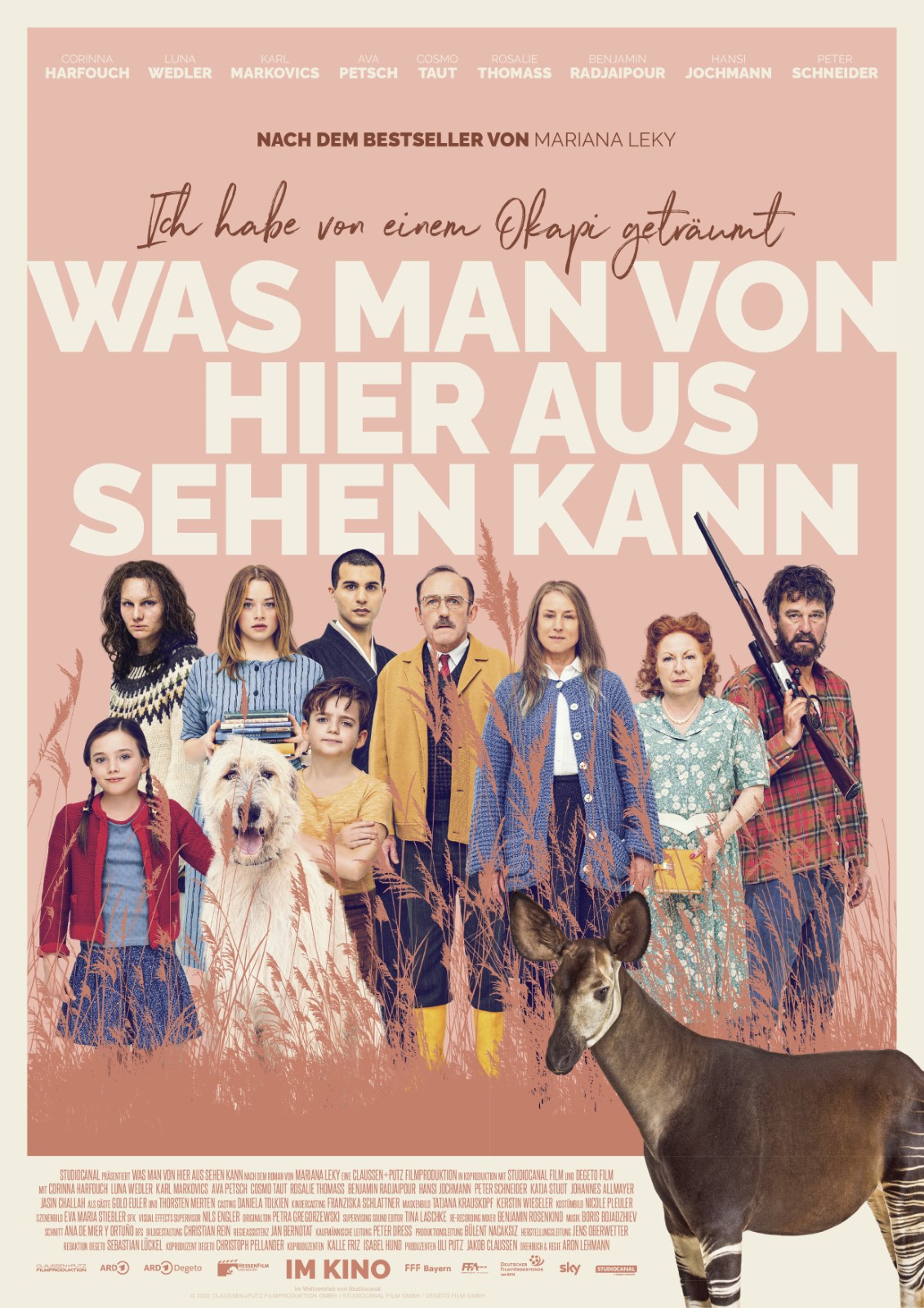 FreiLichtKino im Schlosshof Laubach "Was man von hier aus sehen kann"