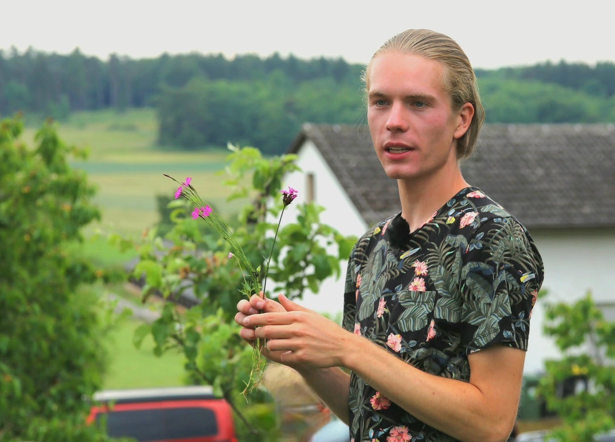Essbare Wild- und Heilkräuter unserer Landschaft — vergessene Potentiale zum Nulltarif